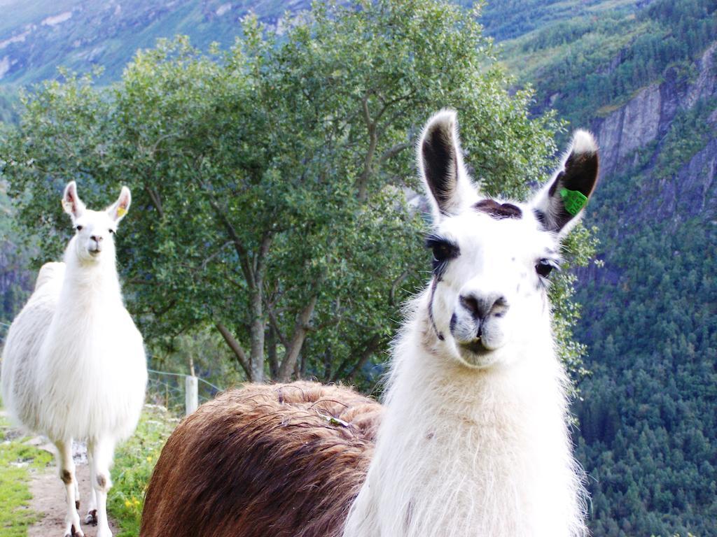 Westeras Gard Geiranger Esterno foto