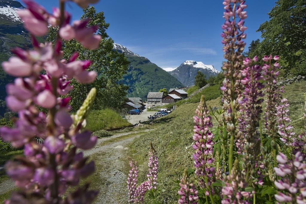 Westeras Gard Geiranger Esterno foto
